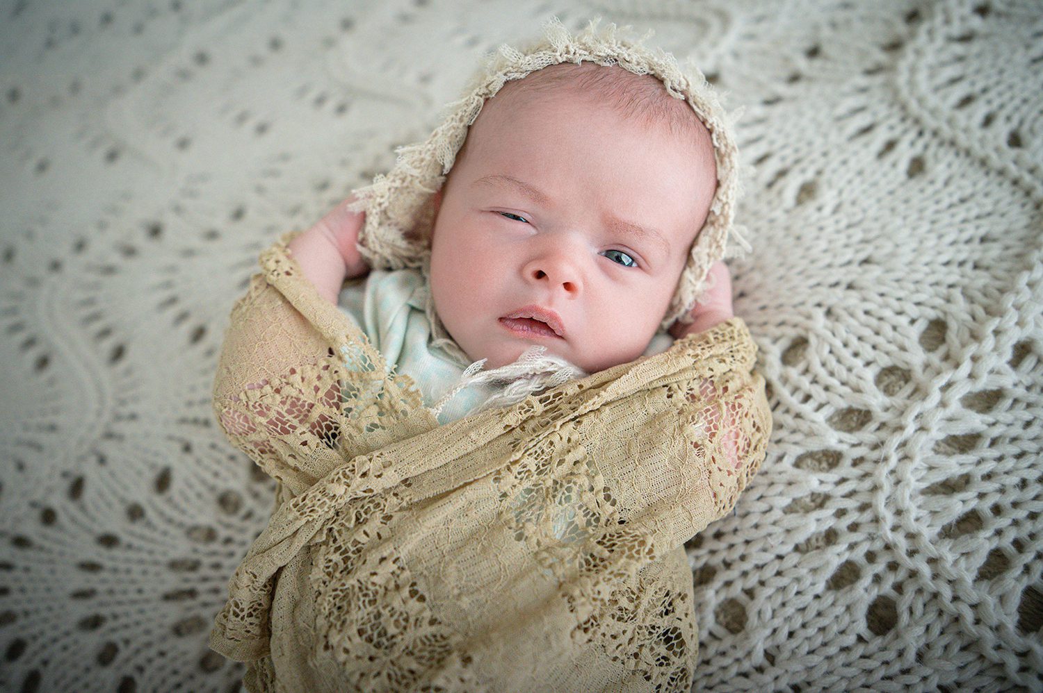 Northeast Ohio photographer capturing natural light family portrait